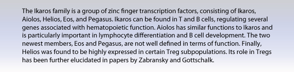 The Ikaros family is a group of zinc finger transcription factors and consists of Ikaros, Aiolos, Helios, Eos, and Pegasus. Ikaros can be found in T and B cells, regulating several genes associated with hematopoietic function. Aiolos has similar functions to Ikaros and is particularly important in lymphocyte differentiation and B cell development. The two newest members, Eos and Pegasus, are not well defined in terms of function. Finally, Helios was found to be highly expressed in certain Treg sub populations. Its role in Tregs was elucidated by Zabransky and Gottschalk.