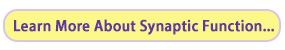 Learn more about Synaptic Function