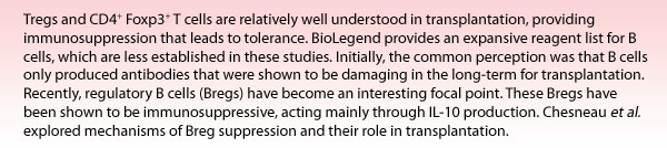 Tregs and CD4+ Foxp3+ T cells are relatively well understood in transplantation, providing immunosuppression that leads to tolerance. BioLegend provides an expansive reagent list for B cells, which are less established in these studies. Initially, the common perception was that B cells only produced antibodies that were shown to be damaging in the long-term for transplantation. Recently, regulatory B cells (Bregs) have become an interesting focal point. These Bregs have been shown to be immunosuppressive, acting mainly through IL-10 production. Chesneau et al. explored mechanisms of Breg suppression and their role in transplantation.