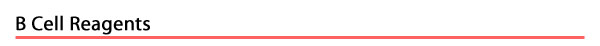 B Cell Reagents