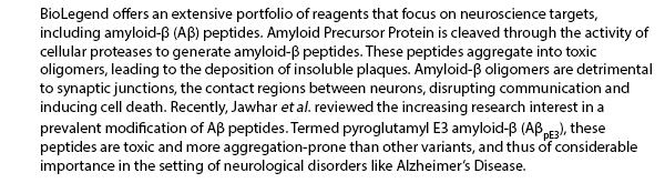 BioLegend offers an extensive portfolio of reagents that focus on neuroscience targets, including amyloid--β (Aβ) peptides. Amyloid Precursor Protein is cleaved through the activity of cellular proteases to generate amyloid--β peptides. These peptides aggregate into toxic oligomers, leading to the deposition of insoluble plaques. Amyloid-β oligomers are detrimental to synaptic junctions, the contact regions between neurons, disrupting communication and inducing cell death. Recently, Jawhar et al. reviewed the increasing research interest in a prevalent modification of Aβ peptides. Termed pyroglutamyl E3 amyloid--β (AβpE3), these peptides are toxic and more aggregation-prone than other variants, and thus of considerable importance in the setting of neurological disorders like Alzheimer’s Disease.