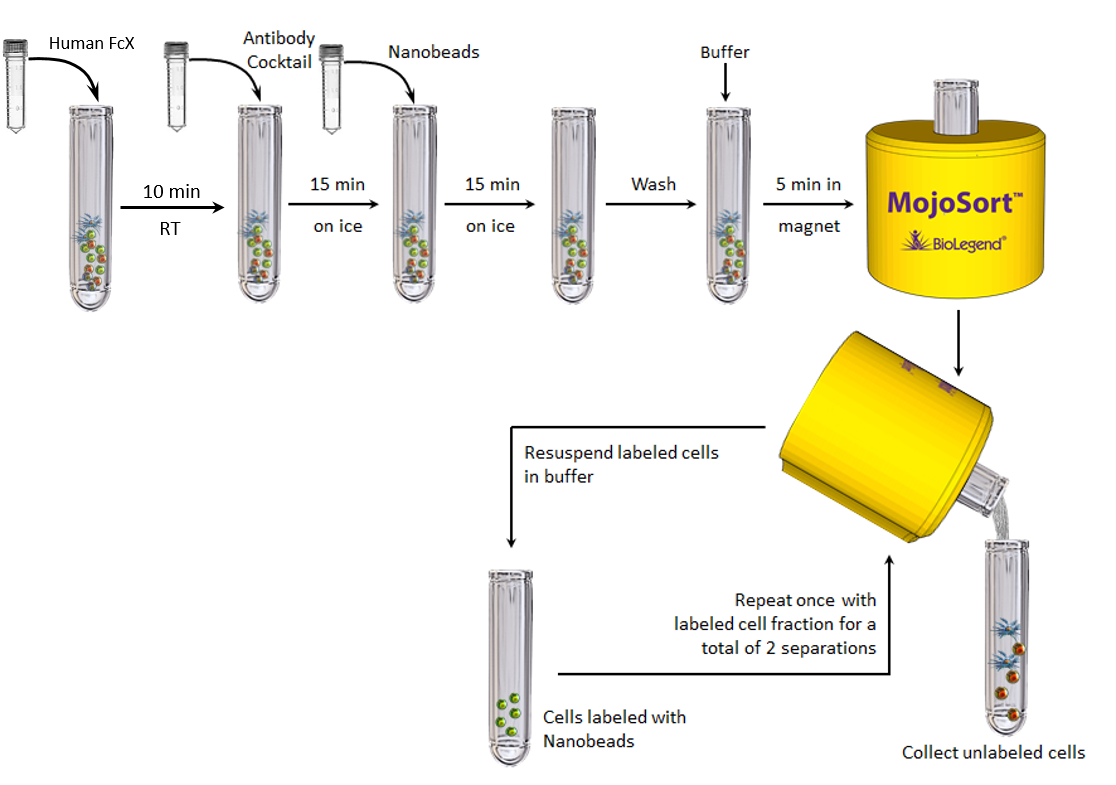 MojoSort Human Pan DC Isolation Kit Protocol Chart Protocol