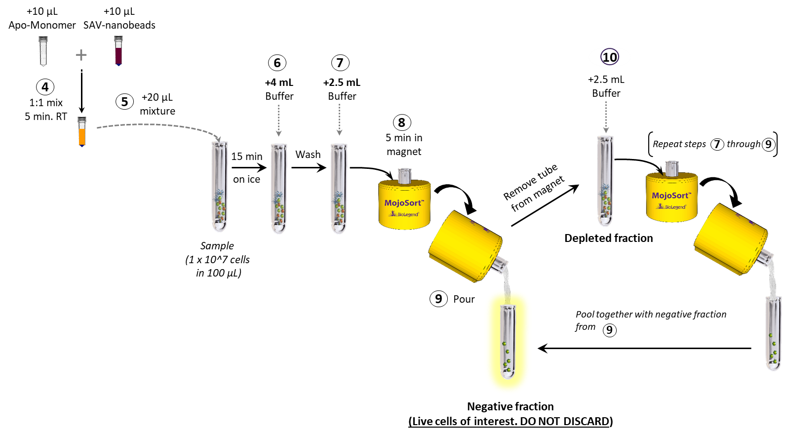 MojoSort™ Dead Cell Removal Protocol chart