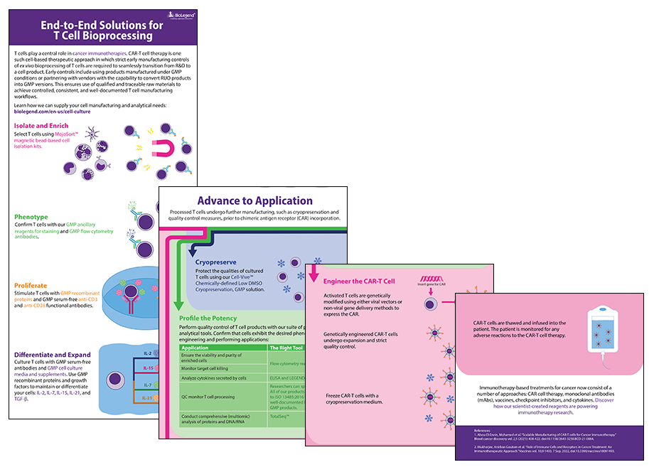 T-Cell Infographic